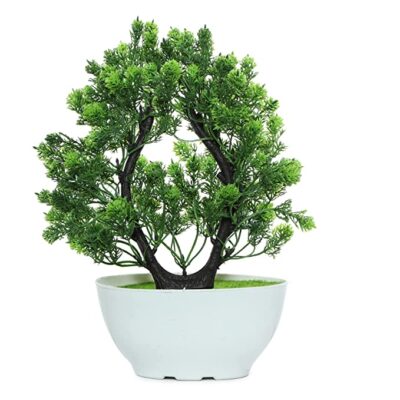 Anaaya Creations Artificial Bonsai Plants with White Pot Round Shape Artificial Plants for Home & Office Table Decoration (Size - 29 x 6 Cm, Color - Green)