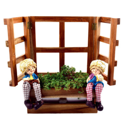 Hanging Window Planter